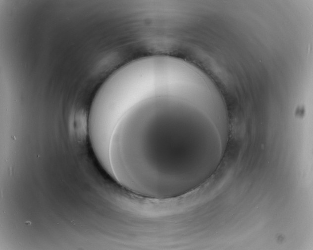 X0000103970027200809191544