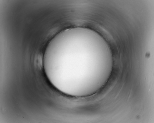 X0000103970028200809191544