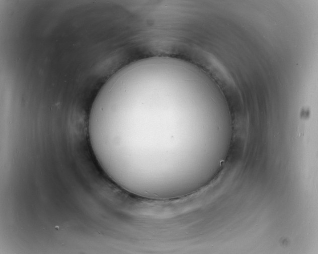 X0000103970029200809191544