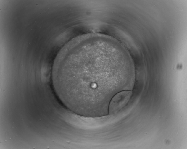 X0000103970030200809191544