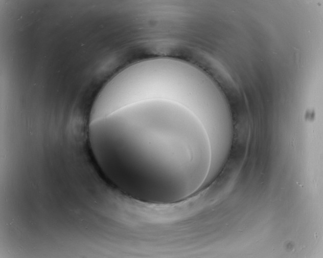 X0000103970031200809191544