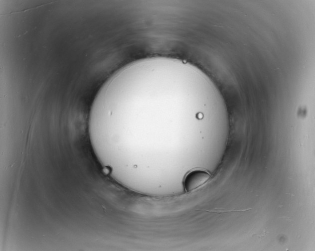 X0000103970033200809191544