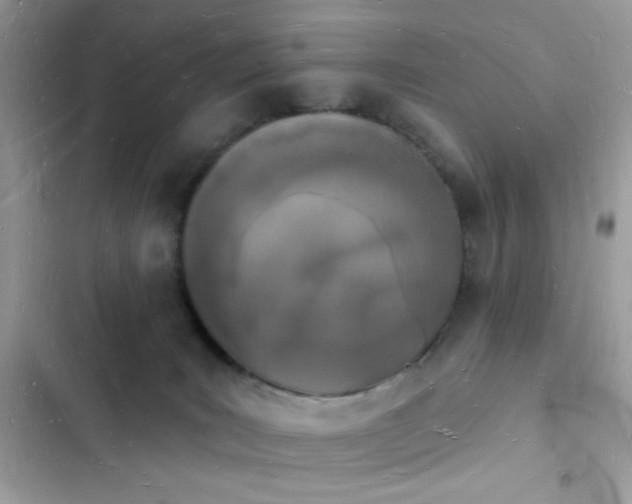 X0000103970035200809191544