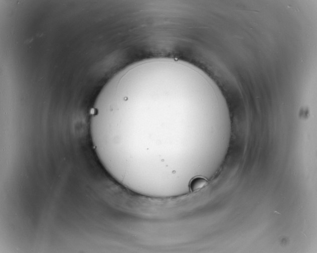 X0000103970037200809191544