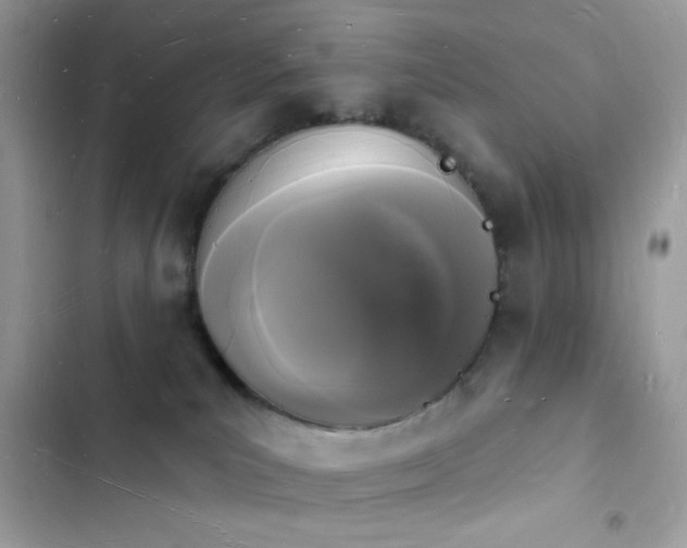 X0000103970039200809191544