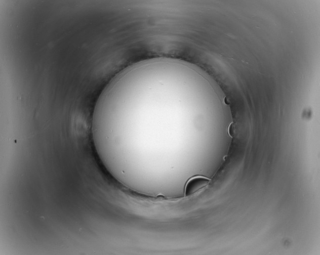 X0000103970040200809191544