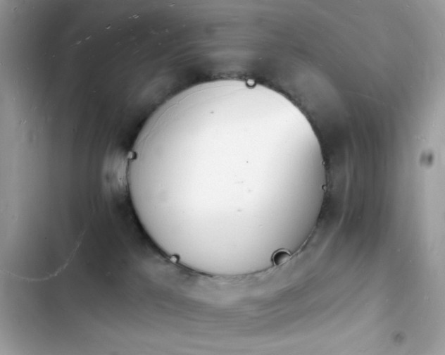 X0000103970041200809191544