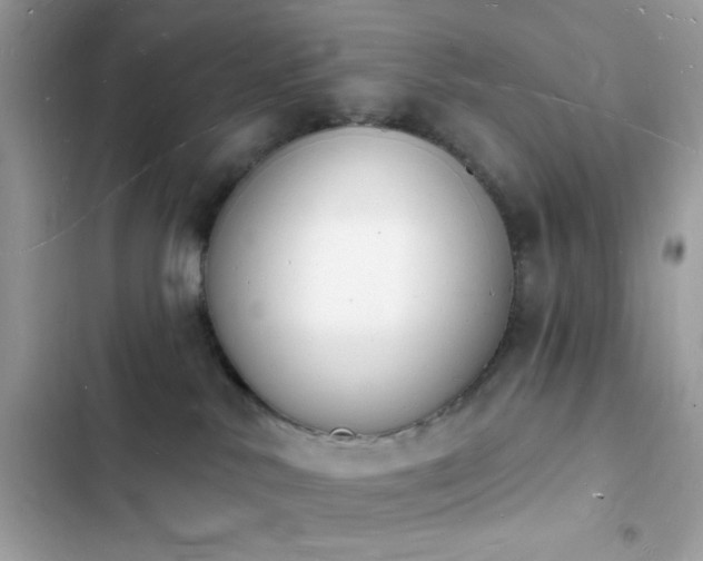 X0000103970042200809191544