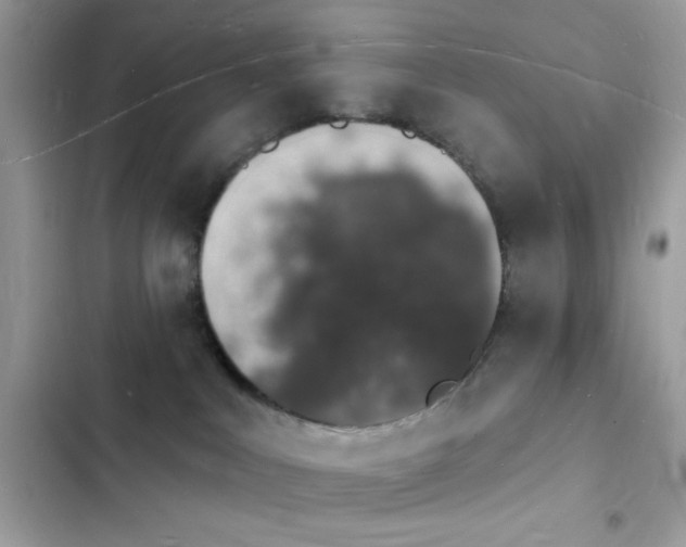 X0000103970043200809191544