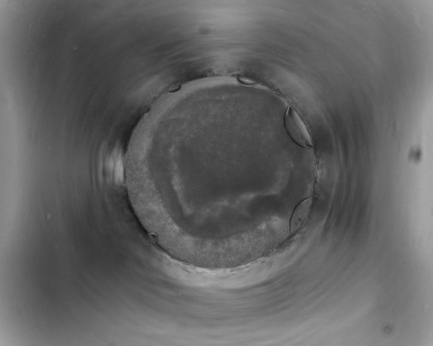 X0000103970046200809191544