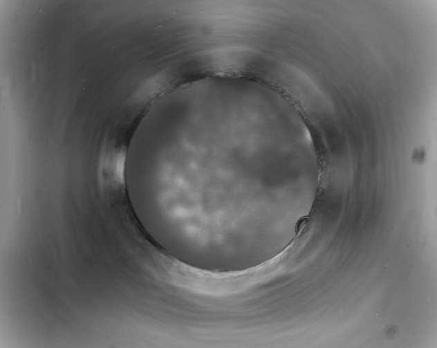 X0000103970047200809191544