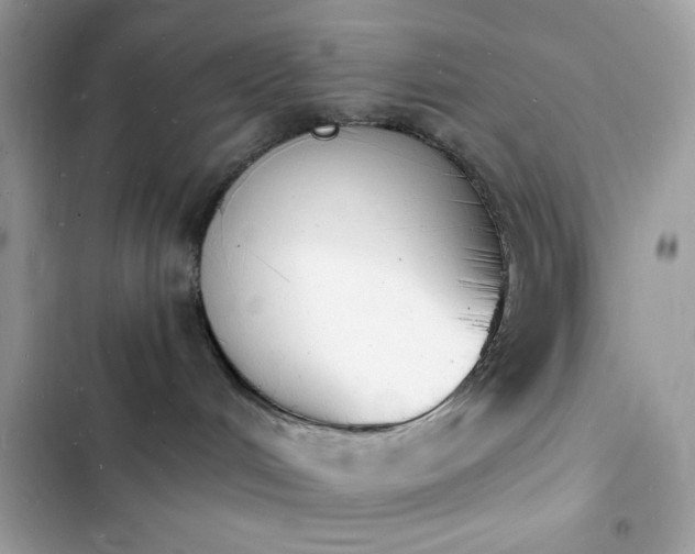 X0000103970048200809191544