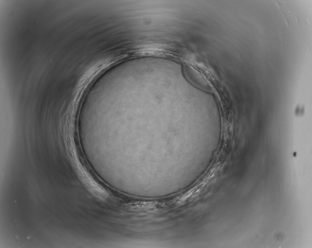 X0000103970049200809191543