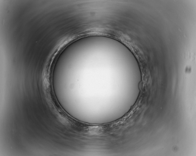 X0000103970050200809191543