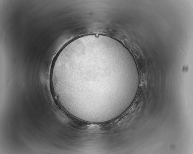 X0000103970052200809191543