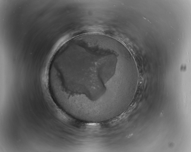 X0000103970053200809191543