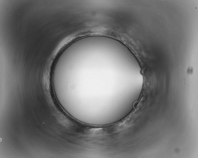 X0000103970054200809191543