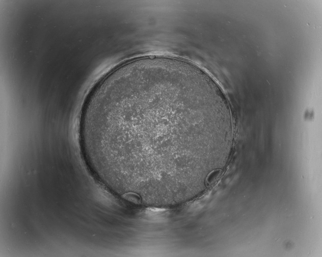 X0000103970055200809191544