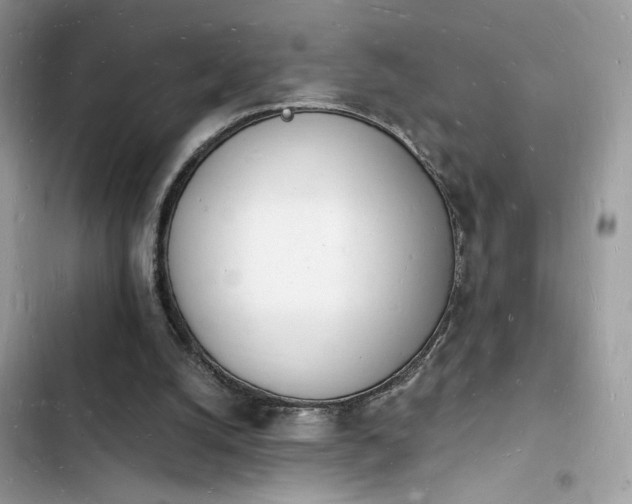 X0000103970056200809191544