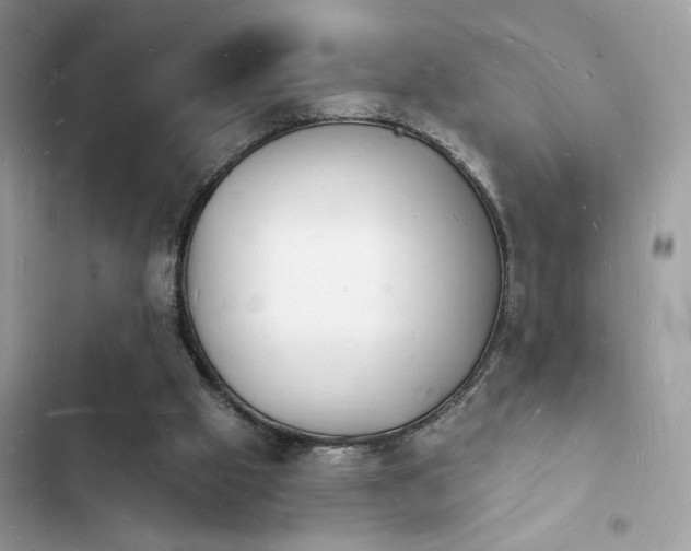 X0000103970057200809191544