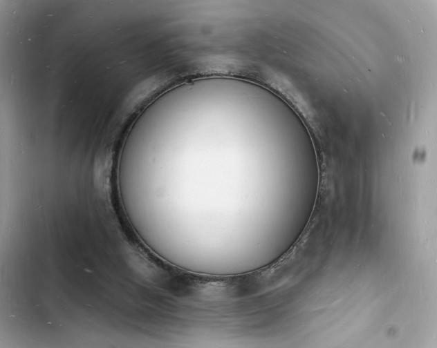 X0000103970058200809191544