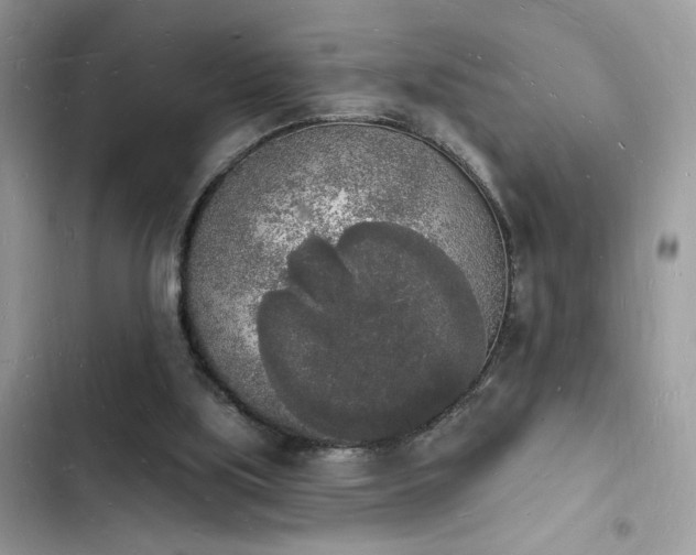 X0000103970059200809191544