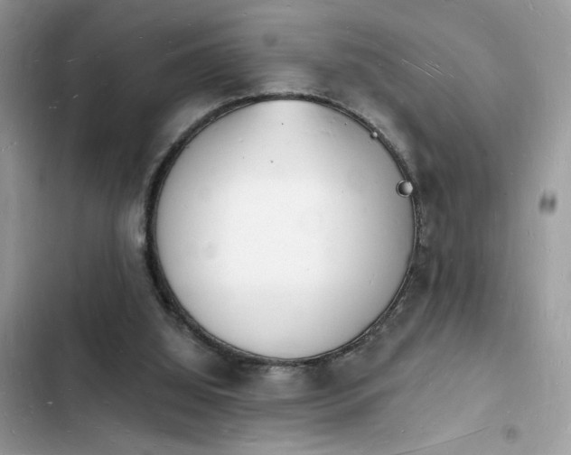 X0000103970060200809191544