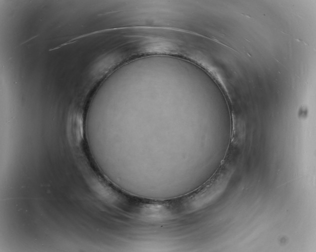 X0000103970061200809191544