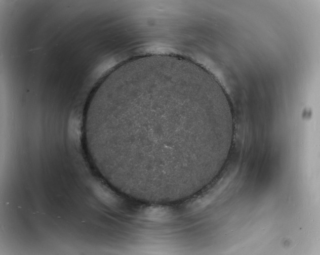 X0000103970063200809191544