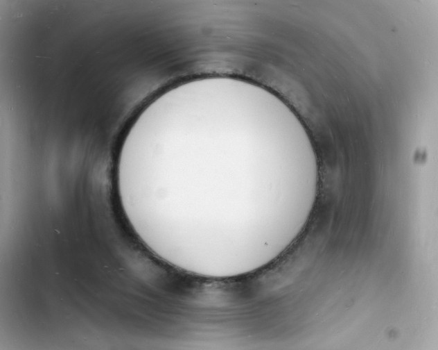 X0000103970064200809191544