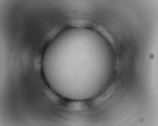 X0000103970065200809191544