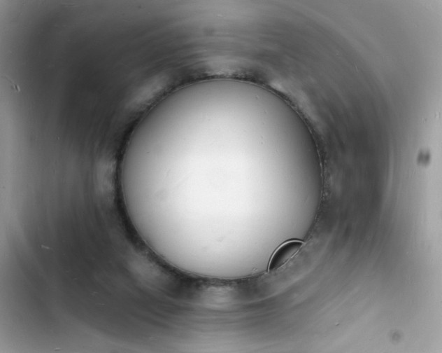 X0000103970066200809191544