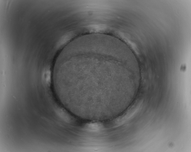 X0000103970067200809191544