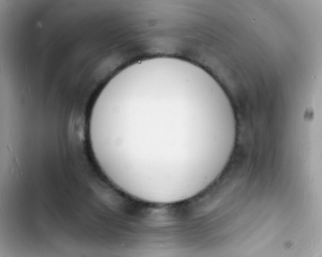 X0000103970068200809191544