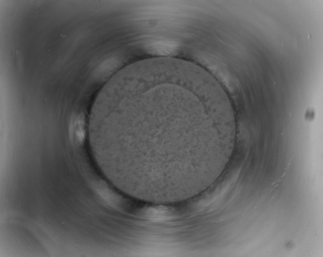 X0000103970069200809191544