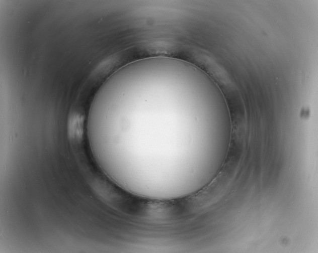 X0000103970070200809191544