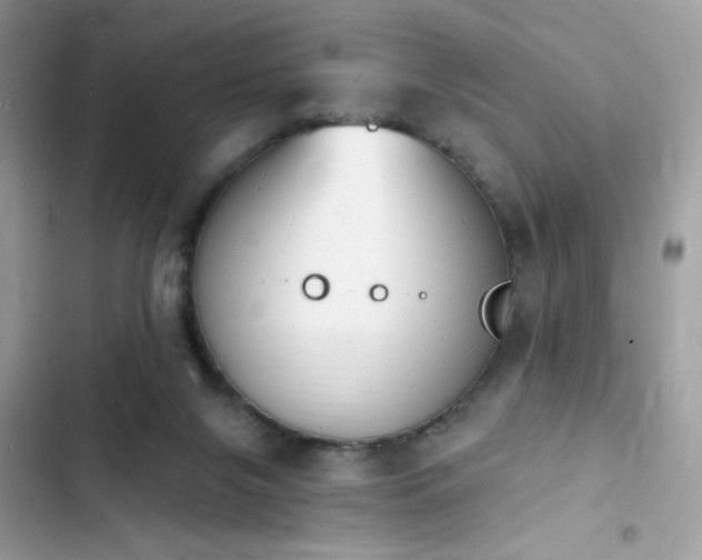 X0000103970071200809191544