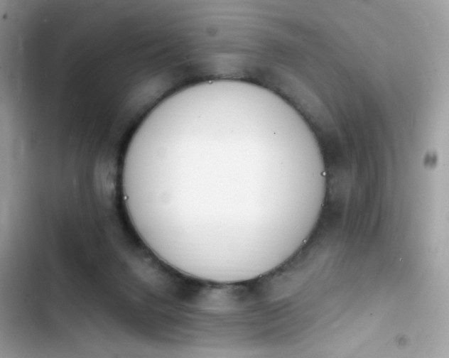 X0000103970072200809191544