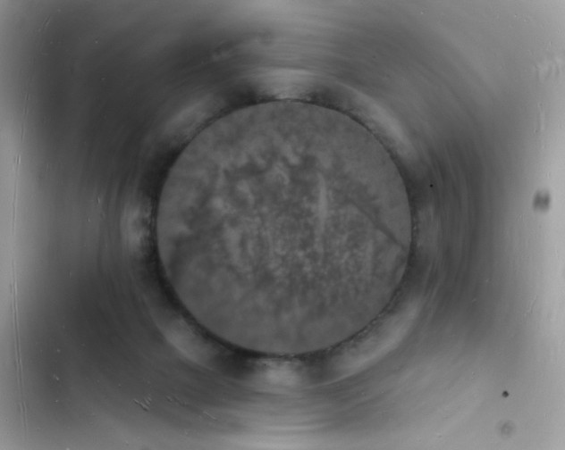 X0000103970073200809191544