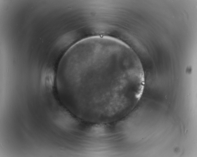 X0000103970076200809191544