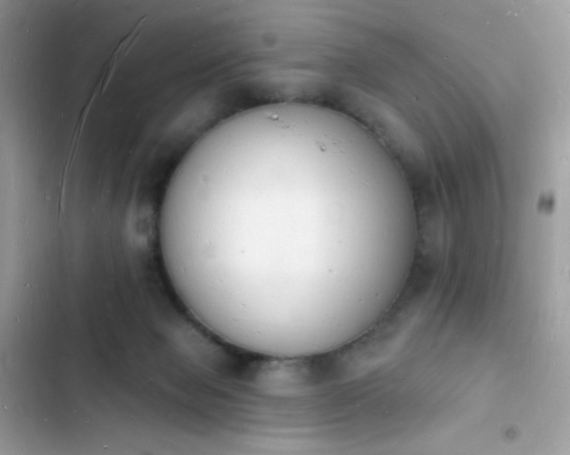 X0000103970077200809191544