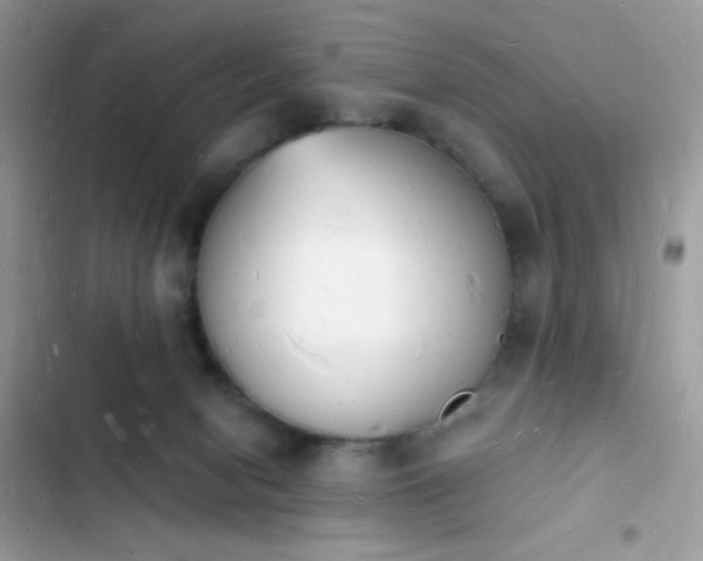 X0000103970078200809191544