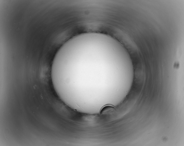 X0000103970079200809191544