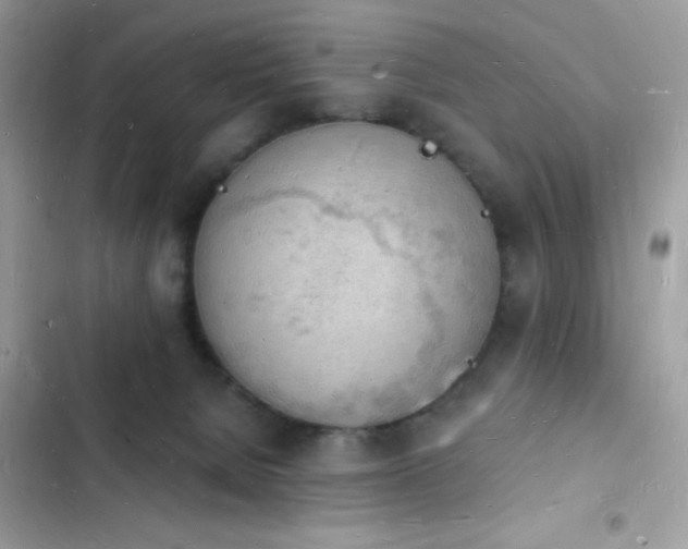 X0000103970080200809191544