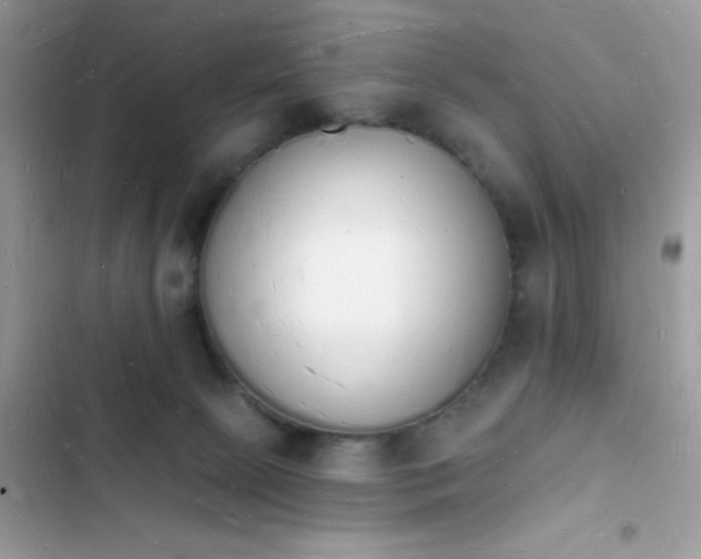 X0000103970081200809191544