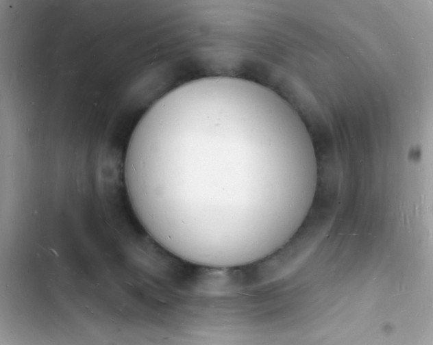 X0000103970083200809191544