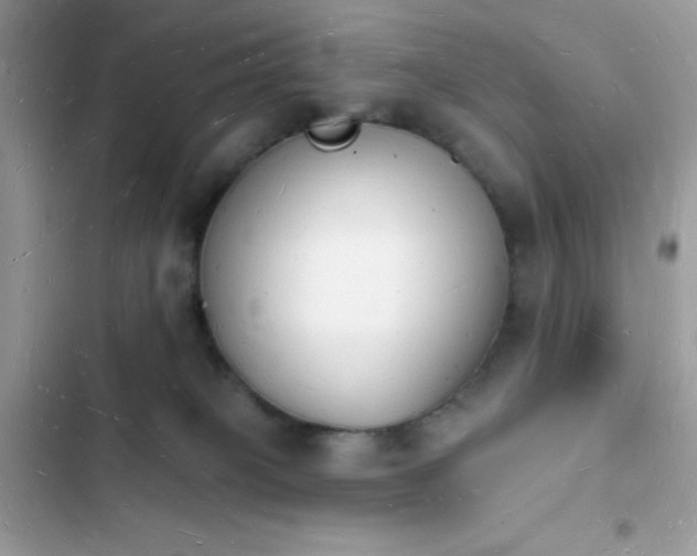 X0000103970085200809191544