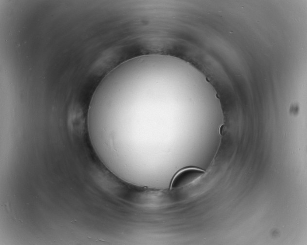 X0000103970086200809191544