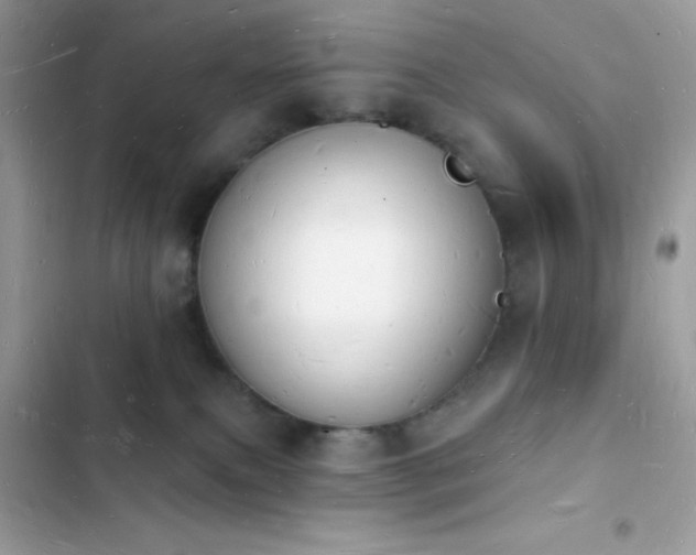 X0000103970087200809191544