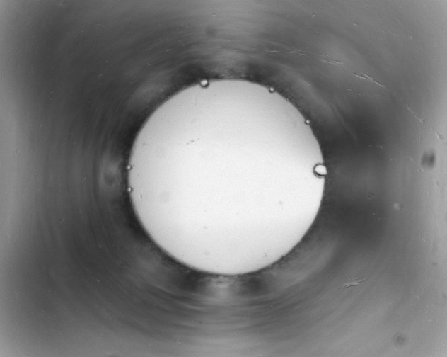 X0000103970088200809191544